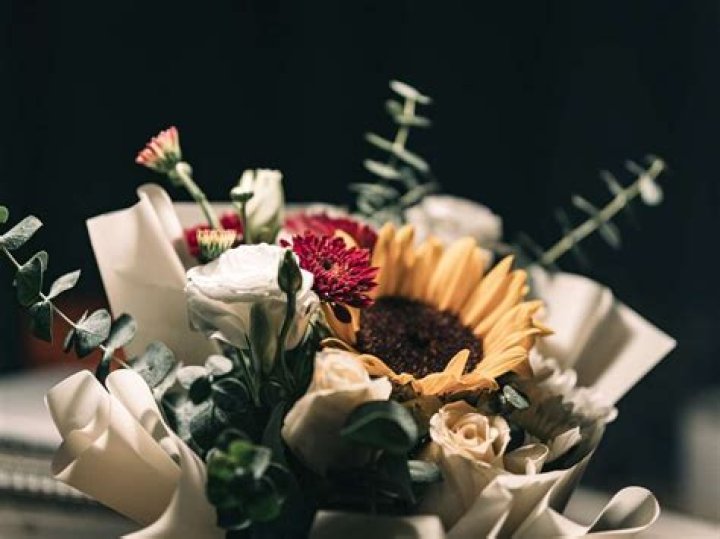 A Celebration Of Memories And Insights