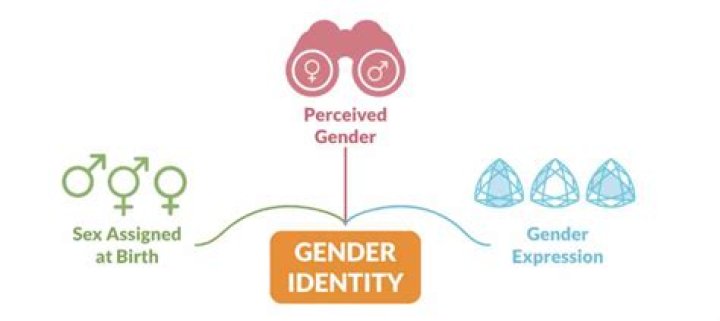 Exploring Sex At Birth And Gender Journey