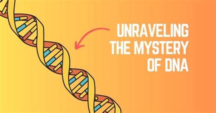 Unraveling The Mystery Of Rust Prevention