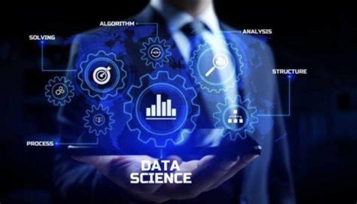 Unveiling The Data Science Brilliance Of Marcela Basteti