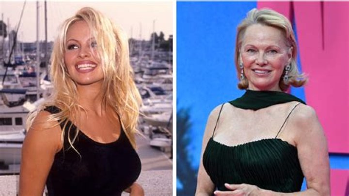 Unveiling The Enduring Enchantment Of Pamela Bardot