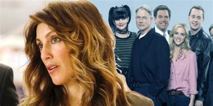 Unveiling The Tragic Fate Of Palmer's Wife On NCIS: Uncover The Shocking Truth